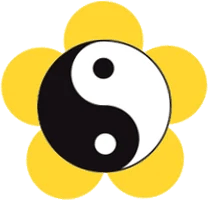 Wushu Shaolin Dragons